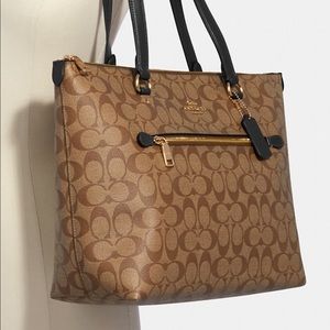 Coach Signature Canvas Tote Bag in Brown/Black